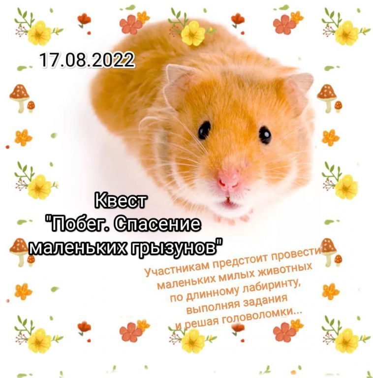 спасение грызунов.jpg